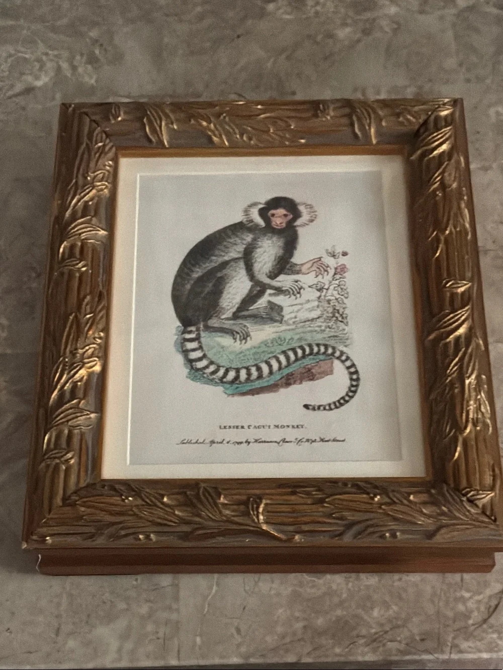 Gold Framed Botanical Monkey Wall Art